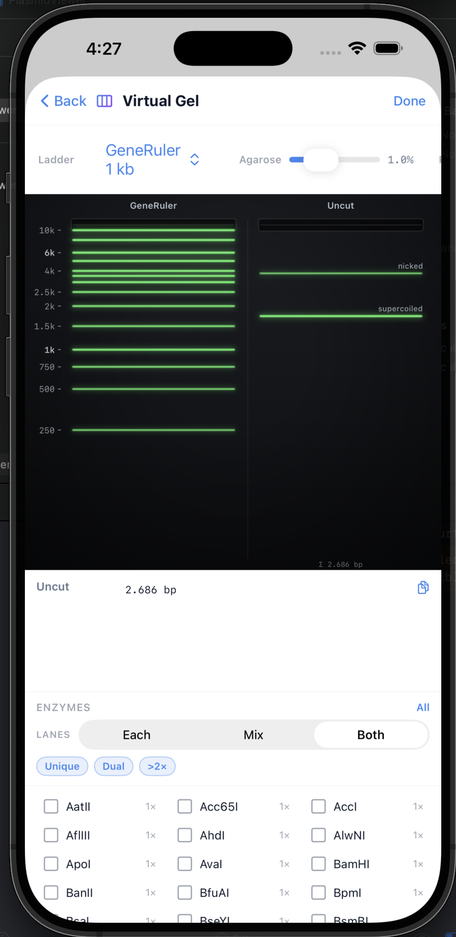iPhone Screenshot 3