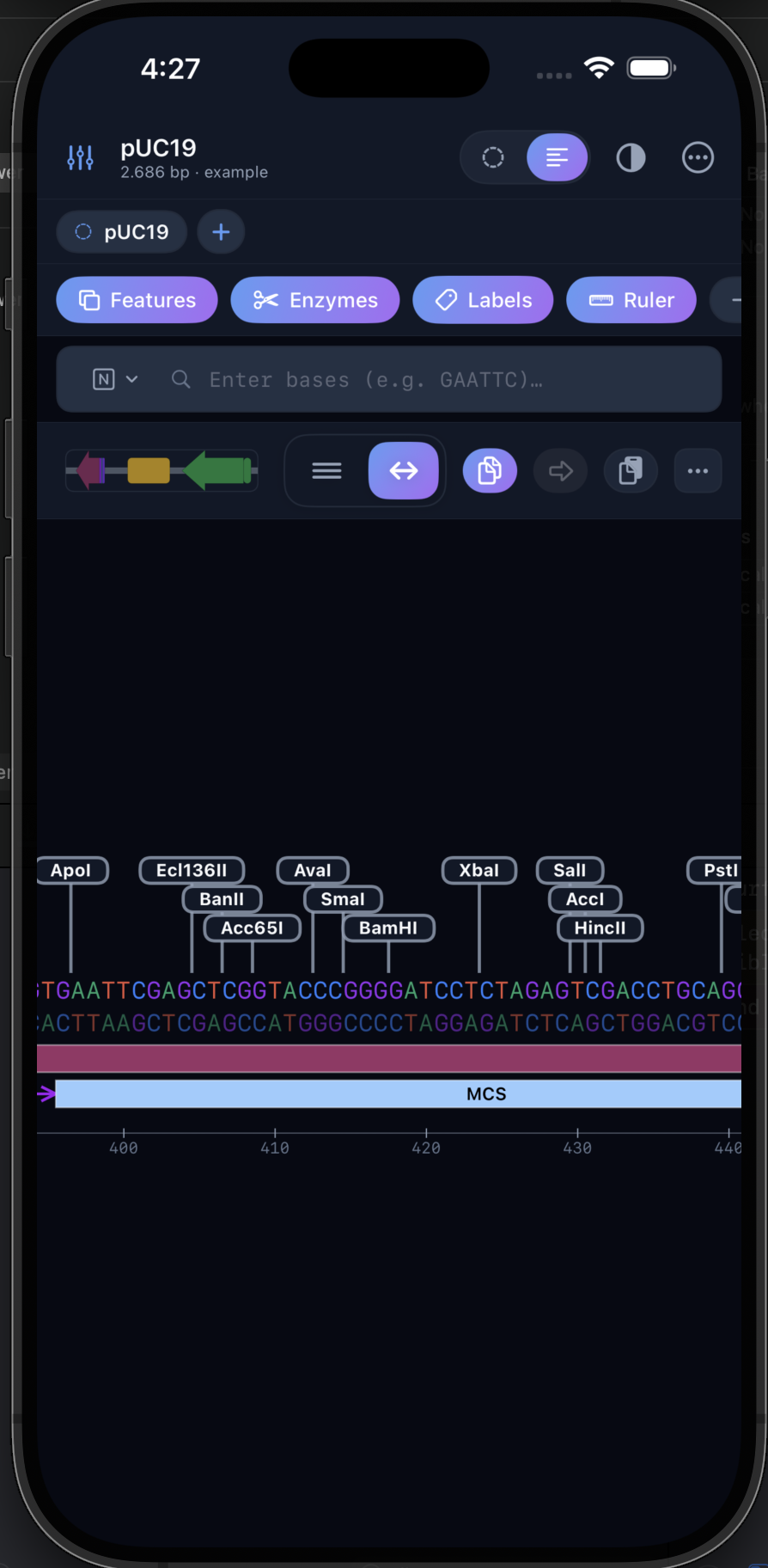 iPhone Screenshot 5