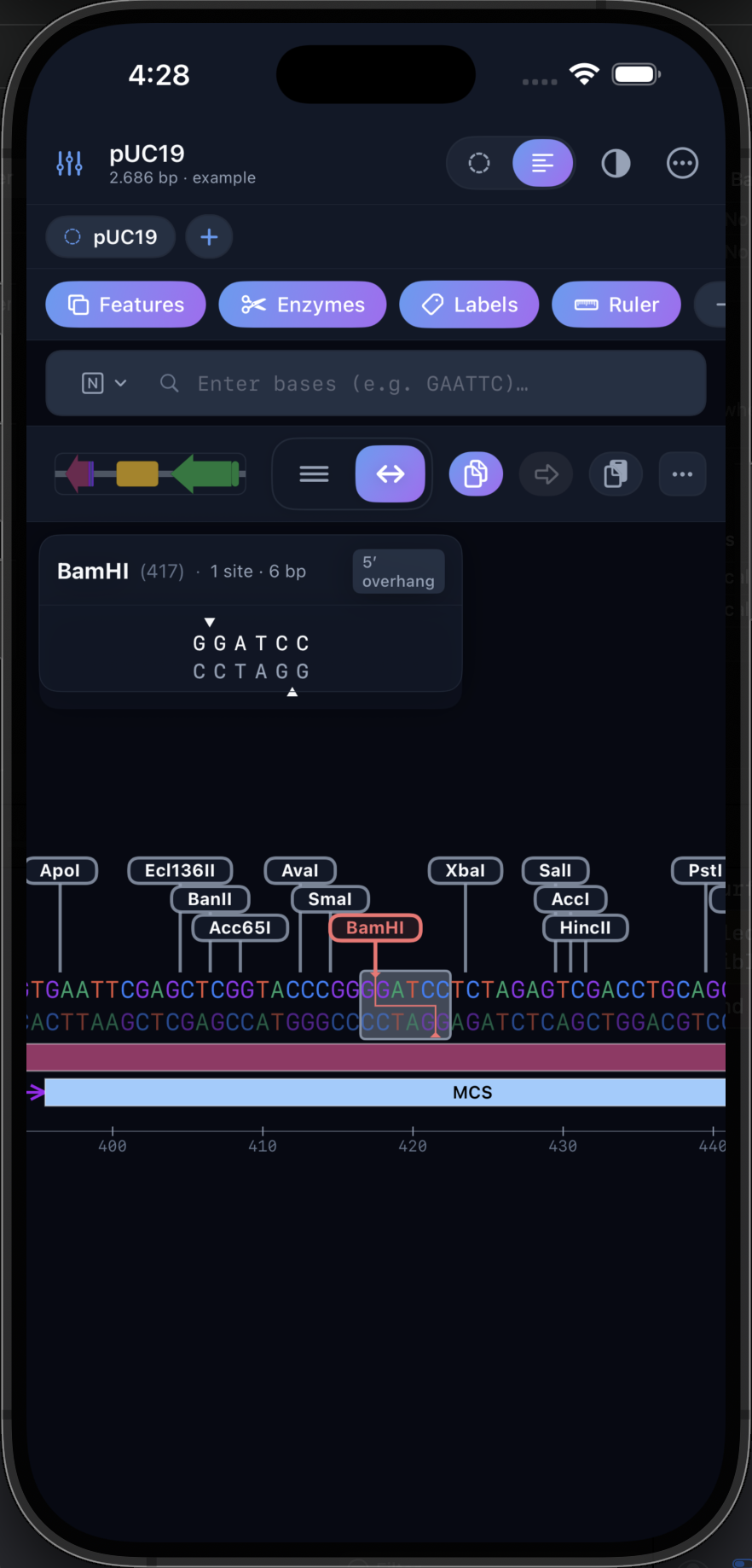 iPhone Screenshot 6