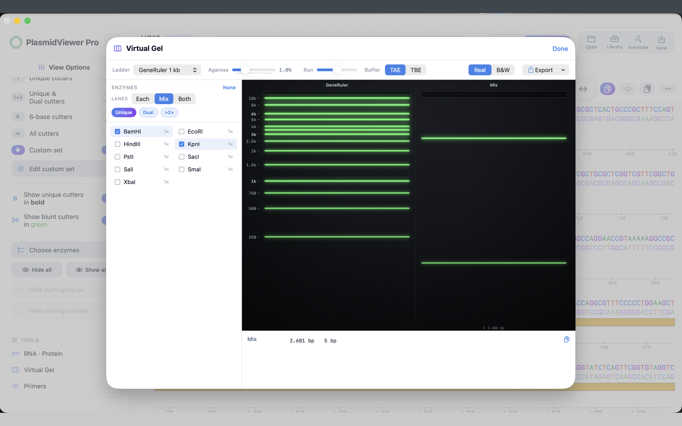 Mac Screenshot 5